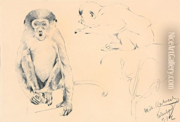 Sitzender Affe Oil Painting - Wilhelm Kuhnert