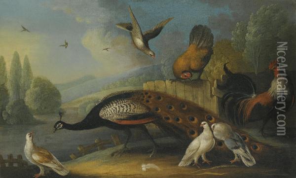 A Still Life With A Peacock, Pigeons And Chickens In A River Landscape Oil Painting - Marmaduke Cradock