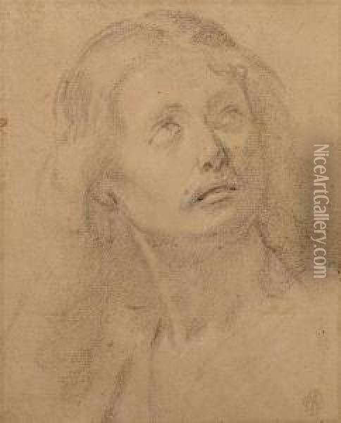 Portrait Of A Young Woman Oil Painting - Ottavio Vannini