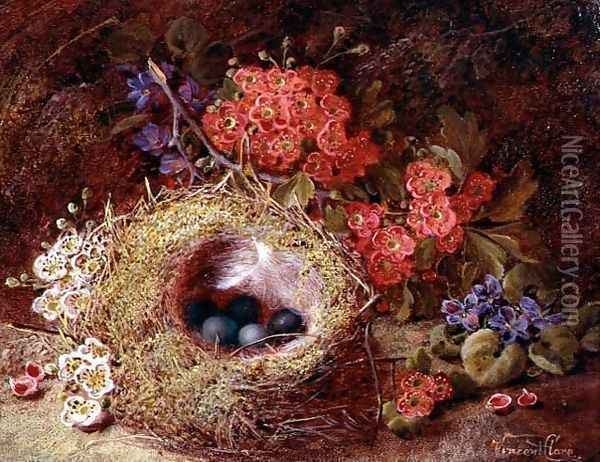 Still life of a bird's nest and blossom Oil Painting - Vincent Clare