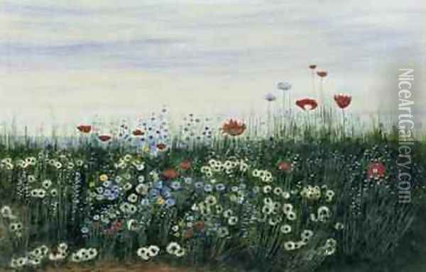 Poppies Daisies and other Flowers by the Sea Oil Painting - Andrew Nicholl