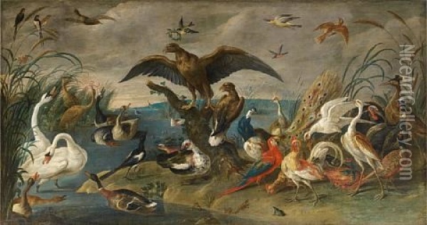 The Coronation Of The King Of The Birds Oil Painting - Jan van Kessel the Elder