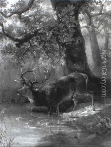 Elk Oil Painting - George Lafayette Clough