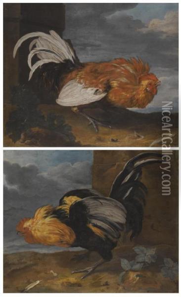Two Studies Of A Cockerel In A Landscape Looking In Opposite Directions Oil Painting - Jacob Bouttats