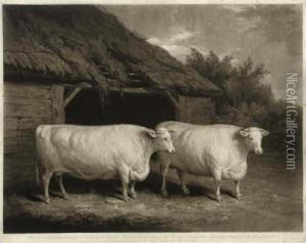 The Durham Twin Steers Supposed To Weigh Near 200 Stone Each Oil Painting - Joseph Mallord William Turner