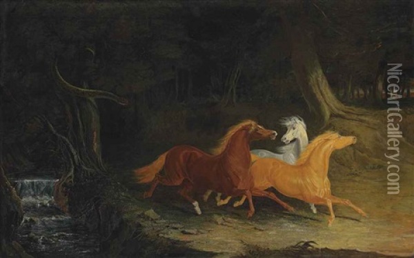 Horses Frightened By A Serpent Oil Painting - James Herring