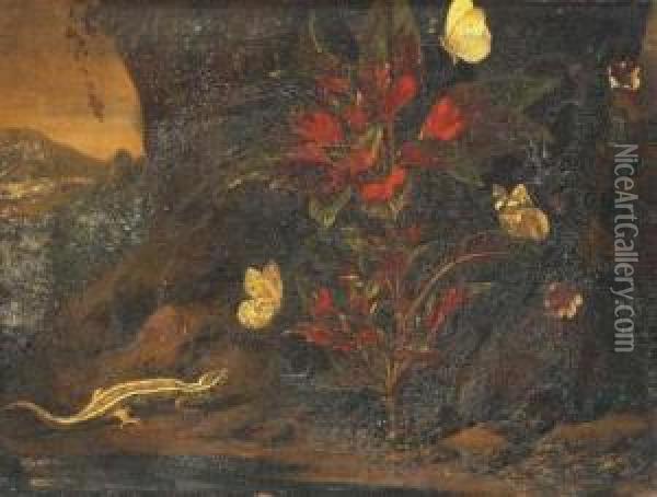 Lezard Et Papillons Au Pied D'un Arbre Oil Painting - Abraham Jansz Begeyn