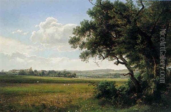 Landscape With Storks Oil Painting - Janus la Cour