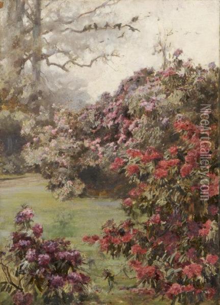 Rhododendrons At Kilmurry Oil Painting - Mildred Anne Butler