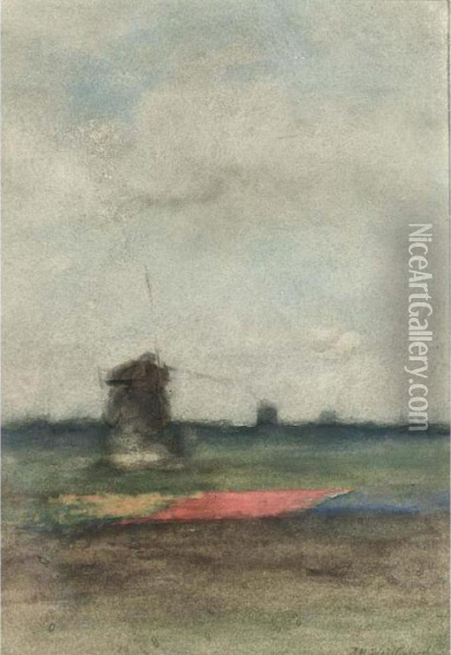 A Windmill In The Bulbfields Oil Painting - Jan Hendrik Weissenbruch