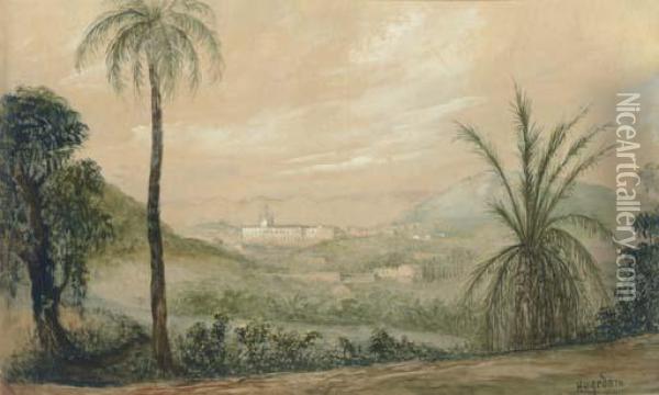 Emperor Pedro Ii's Fazenda Santa Cruz, Brazil Oil Painting - Friedrich Hagedorn