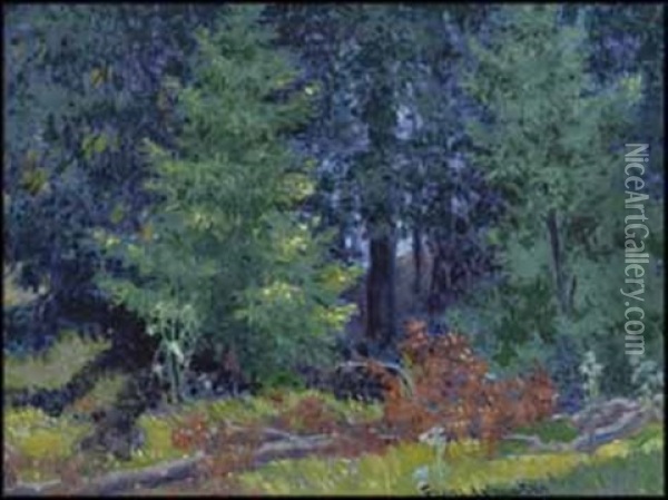 The Shadowy Glen Oil Painting - Francis Hans Johnston