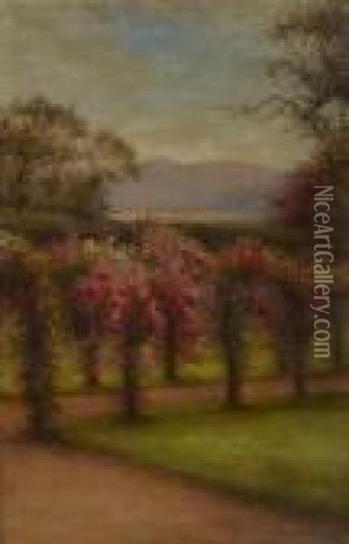 Roses In Finzean Oil Painting - Joseph Farquharson