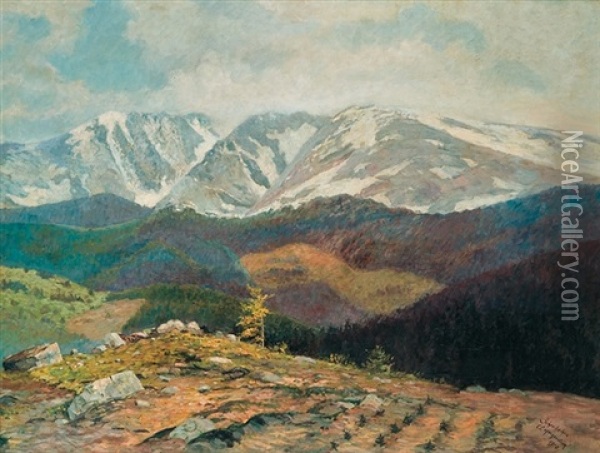 Mountain View Oil Painting - Carl Ernst Morgernstern