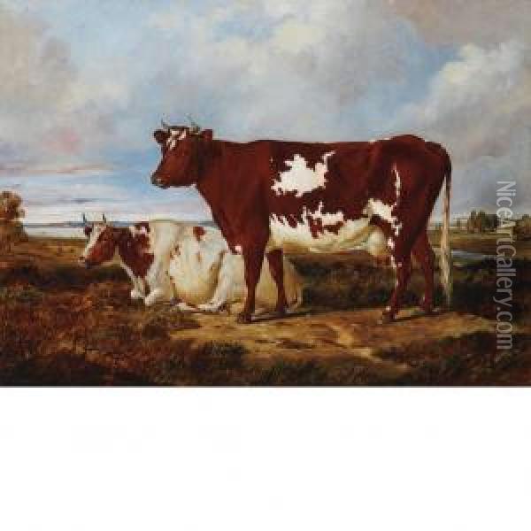 Cows Resting In A Pasture Oil Painting - Arthur Fitzwilliam Tait