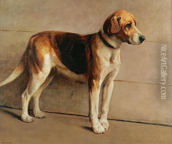 Portrait Of A Beagle Oil Painting - Samuel Fulton