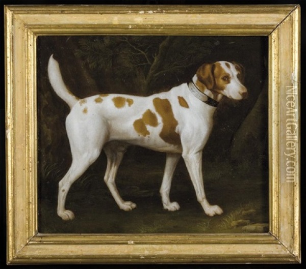 King Charles, Braque Saint-germain, Chien D'eau Romagnol And Foxhund Oil Painting - Nicolas Huet