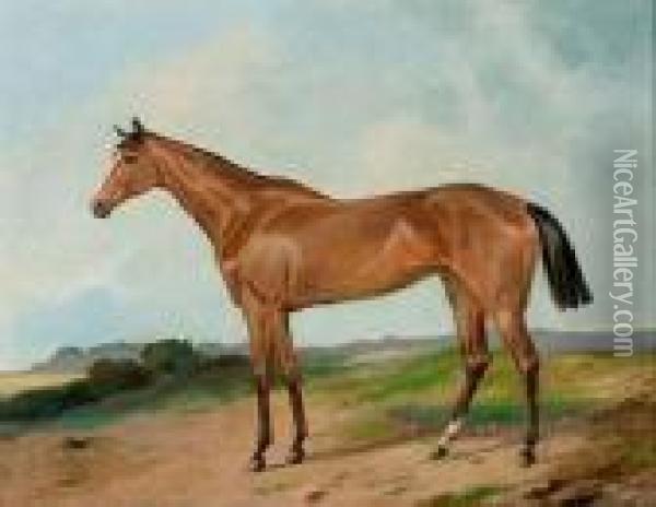 Rennpferd In Weiter Sommerlandschaft Oil Painting - Nikolai Egorovich Sverchkov