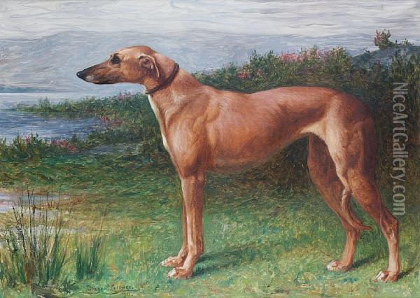 Portrait Of A Greyhound In A Landscape Oil Painting - Margaret Collyer