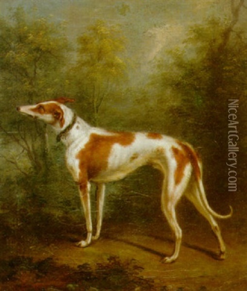 A Hound In A Wooded Landscape Oil Painting - Jacques-Laurent Agasse