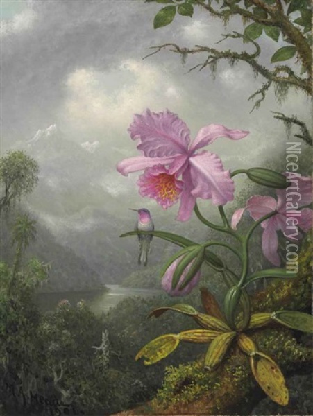 Hummingbird Perched On The Orchid Plant Oil Painting - Martin Johnson Heade
