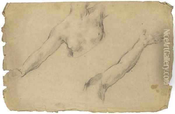 Study of the torso and outstretched right arm of a female nude Oil Painting - Pietro Da Cortona (Barrettini)