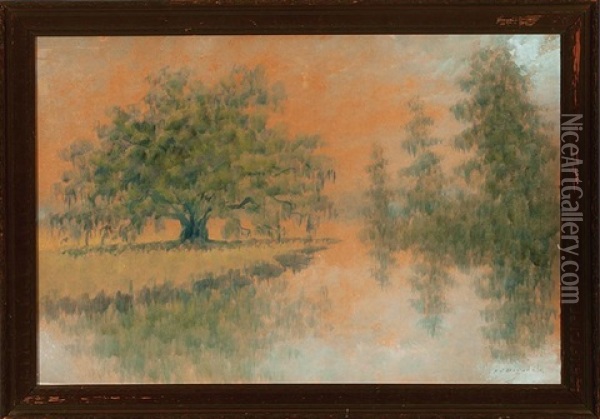 Live Oak And Cypress Trees, Louisiana Bayou Oil Painting - Alexander John Drysdale