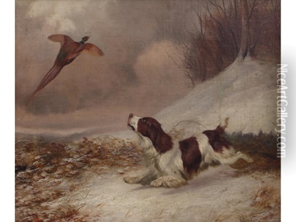 Spaniel And Pheasant (+ Another Of A Spaniel And Rabbit; Pair) Oil Painting - Colin Graeme