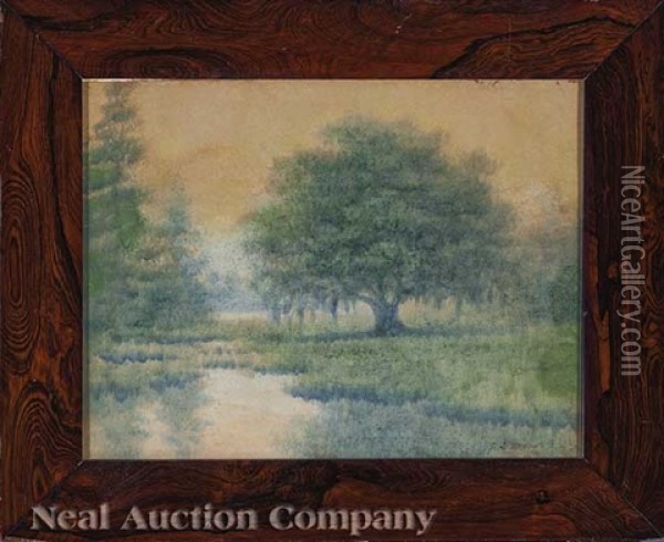 Live Oak, Louisiana Oil Painting - Alexander John Drysdale