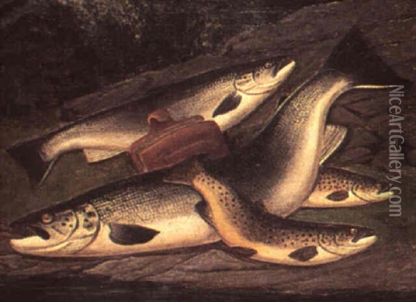 Still Life Of Salmon And Brown Trout On A Bank Oil Painting - A. Roland Knight