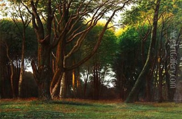 In The Woods Oil Painting - Anton Thiele