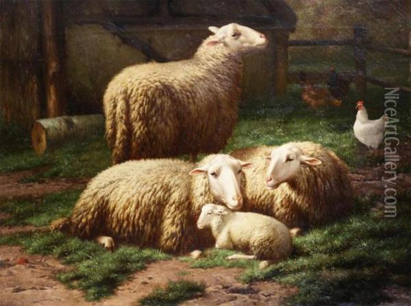 Sheep Lying In The Grass Near The Stabl Oil Painting - Eugene Remy Maes