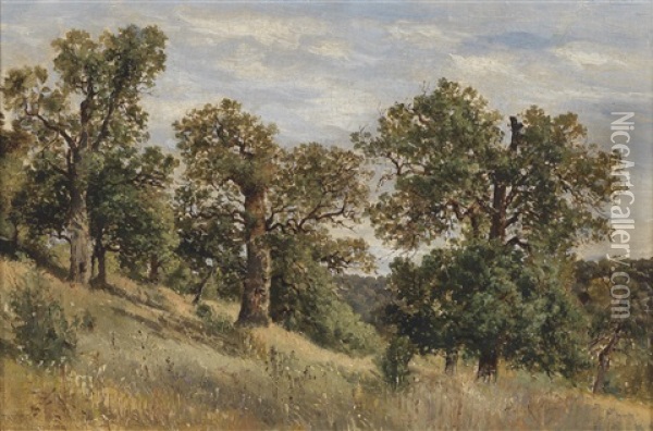 Berghang Mit Baum Oil Painting - Theodor von Hoermann
