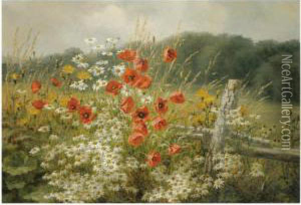 Poppies And Daisies Oil Painting - Anthonie, Anthonore Christensen