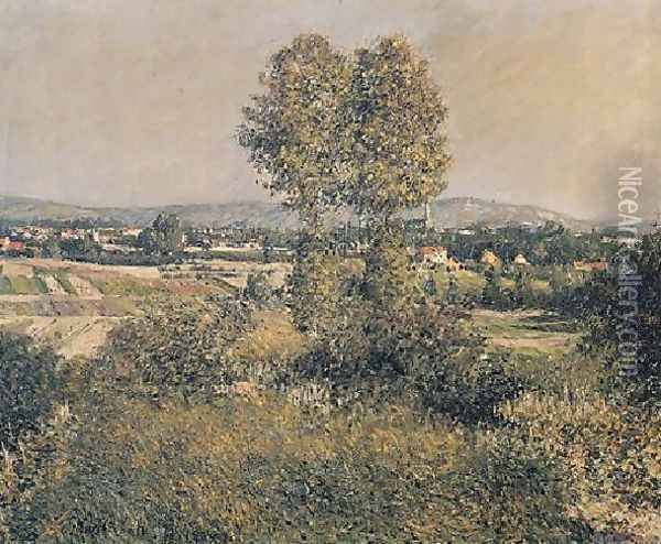 Landscape At Argenteuil Oil Painting - Gustave Caillebotte