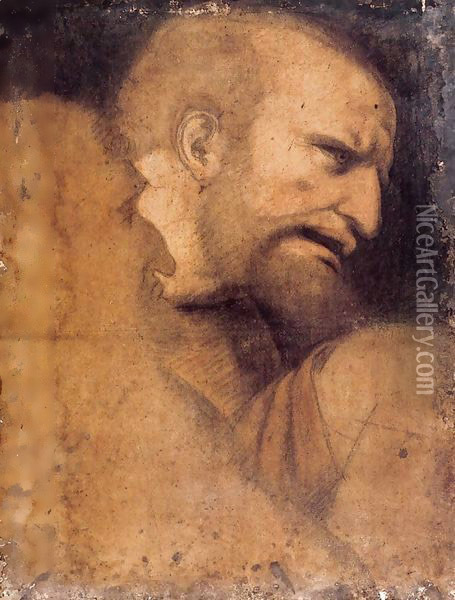 Head of St Peter Oil Painting - Leonardo Da Vinci