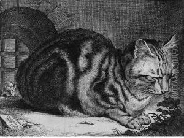 The Large Cat (dutuit 46; Holl. 42) Oil Painting - Cornelius de Visscher
