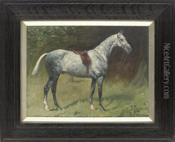 Sheldrake; And Storm Oil Painting - George Paice