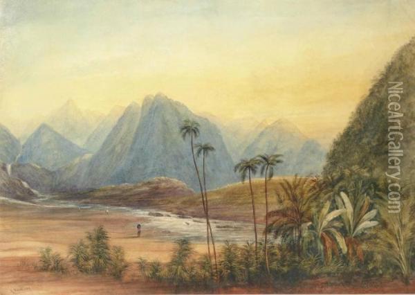 A River Landscape, Ceylon Oil Painting - Andrew Nicholl