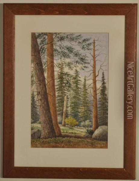 Depicting A High Country Landscape Probably Santa Barbara Vicinity Oil Painting - Henry Chapman Ford