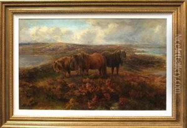 Shetland Ponies Grazing Amongst Heather Oil Painting - George James Rankin