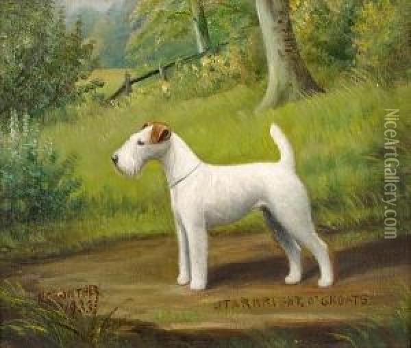 Starbright O'groats; A Wire Haired Fox Terrier Oil Painting - Henry Crowther