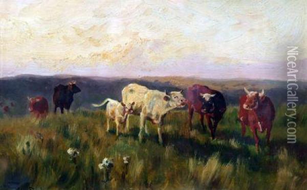 Cows In A Field Oil Painting - Arthur Wardle