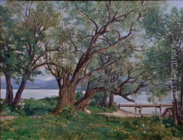Alte Weiden Auf Der Herreninsel Im Chiemsee Oil Painting - Lothar Rudolf Meilinger