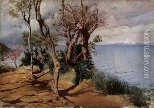 Il Vesuvio Innevato Oil Painting - G. Sinibaldi