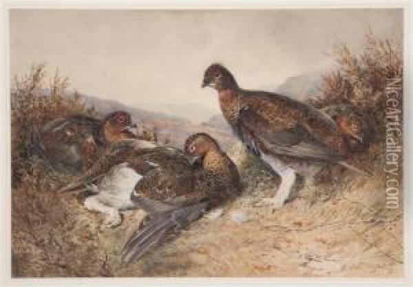 English Grouse Oil Painting - William Arnold Woodhouse