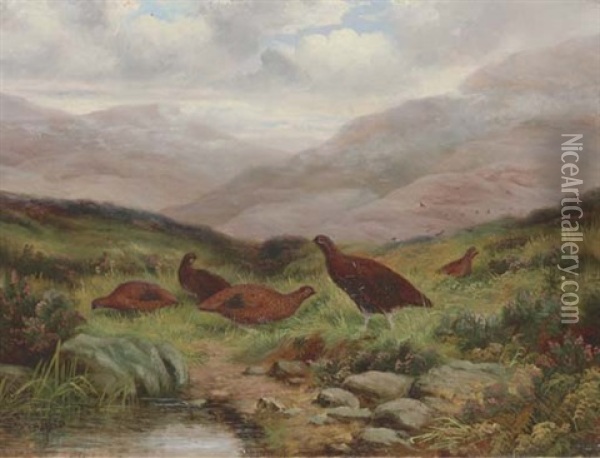 Red Grouse In A Highland Landscape Oil Painting - Abel Hold