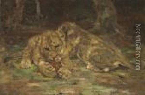 Lion Cubs Oil Painting - William Walls