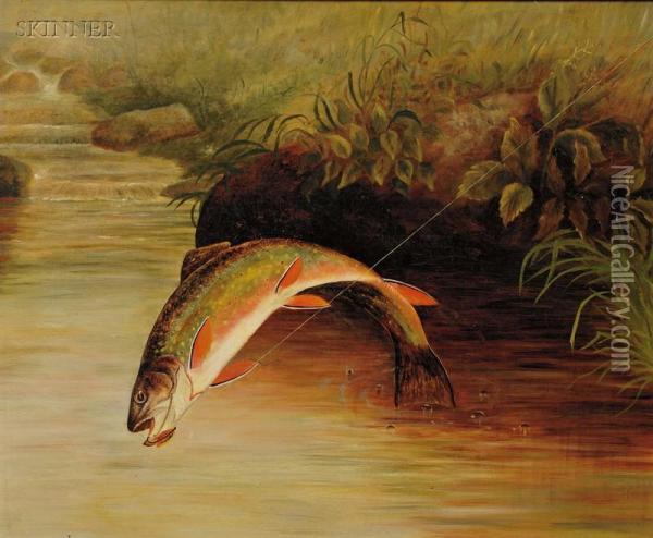 Rainbow Trout Taking A Fly Oil Painting - Samuel A. Kilbourne
