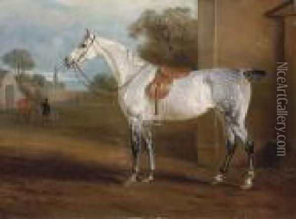 Joseph Leeds's Grey Hunter Oil Painting - John Snr Ferneley